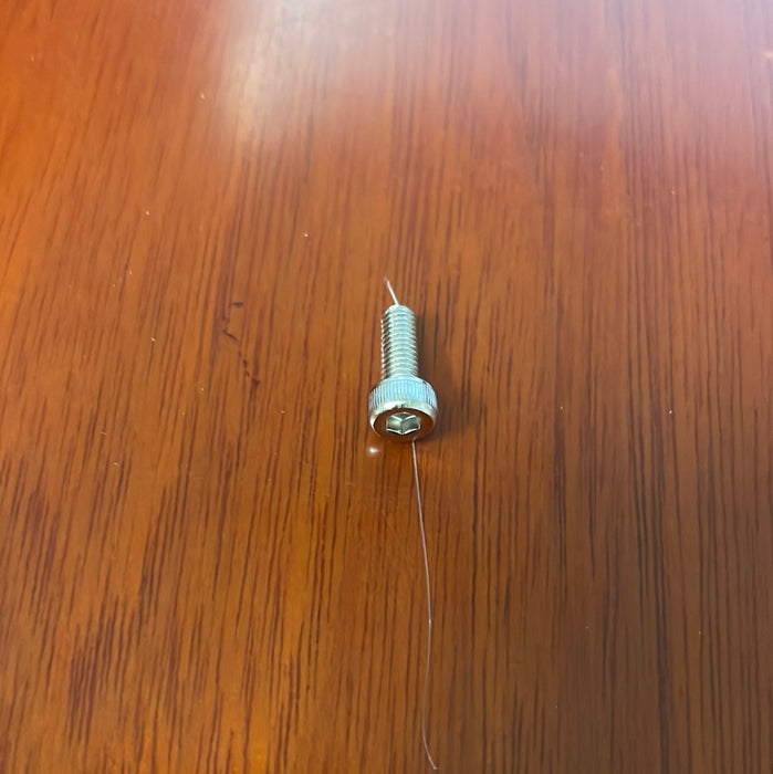 OEM SCREW FOR ROLAND DX7 PRINTERS